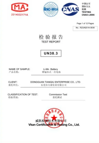 UN38.3