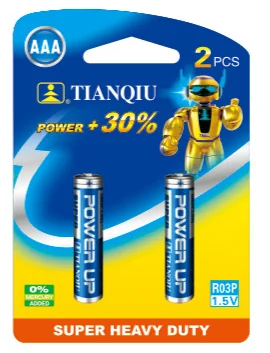 R03P/2BP
